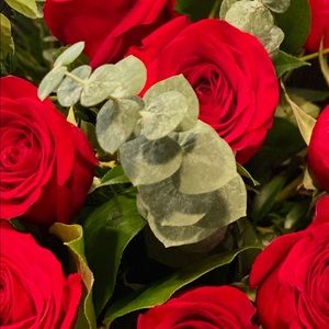 Meet your Posher, Ana